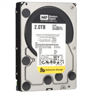 WD2002FYPS RE4-GP 2TB